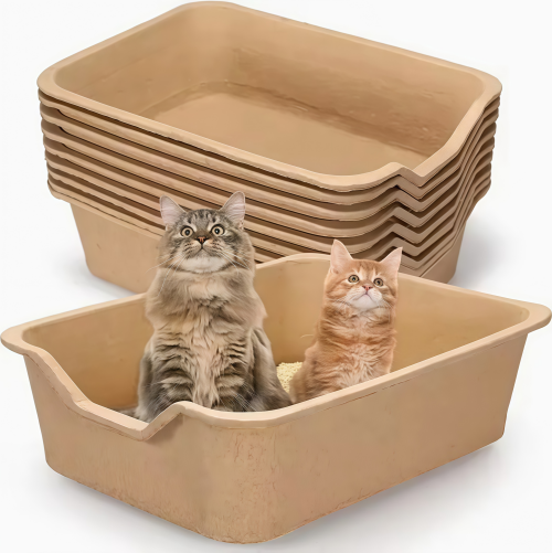 Pet Food & Care
