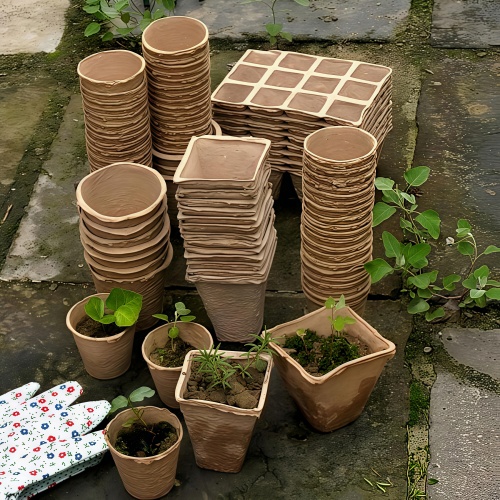 Garden & Horticulture3